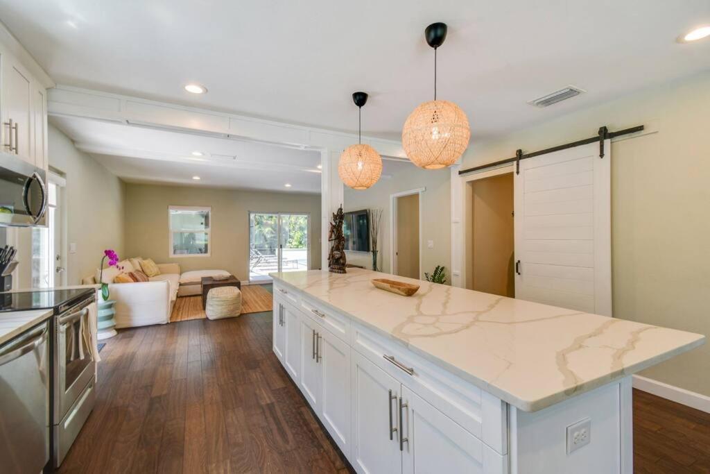 Luxury Home In The Heart Of South Tampa & Pool! Exteriör bild
