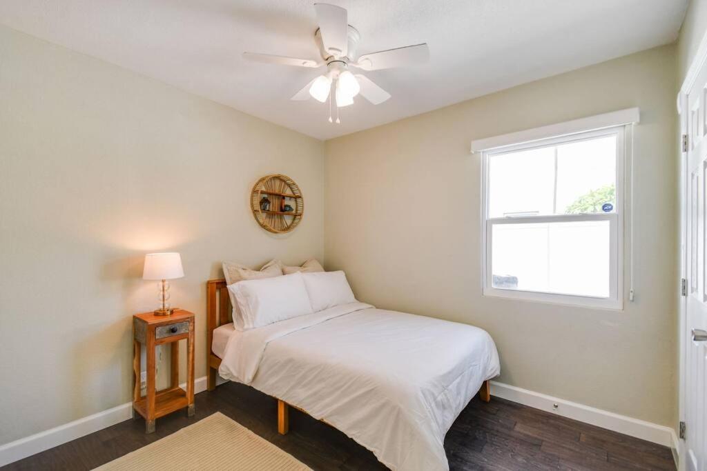 Luxury Home In The Heart Of South Tampa & Pool! Exteriör bild