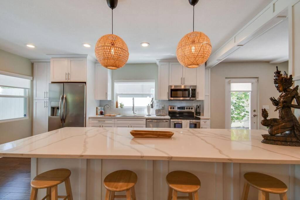 Luxury Home In The Heart Of South Tampa & Pool! Exteriör bild
