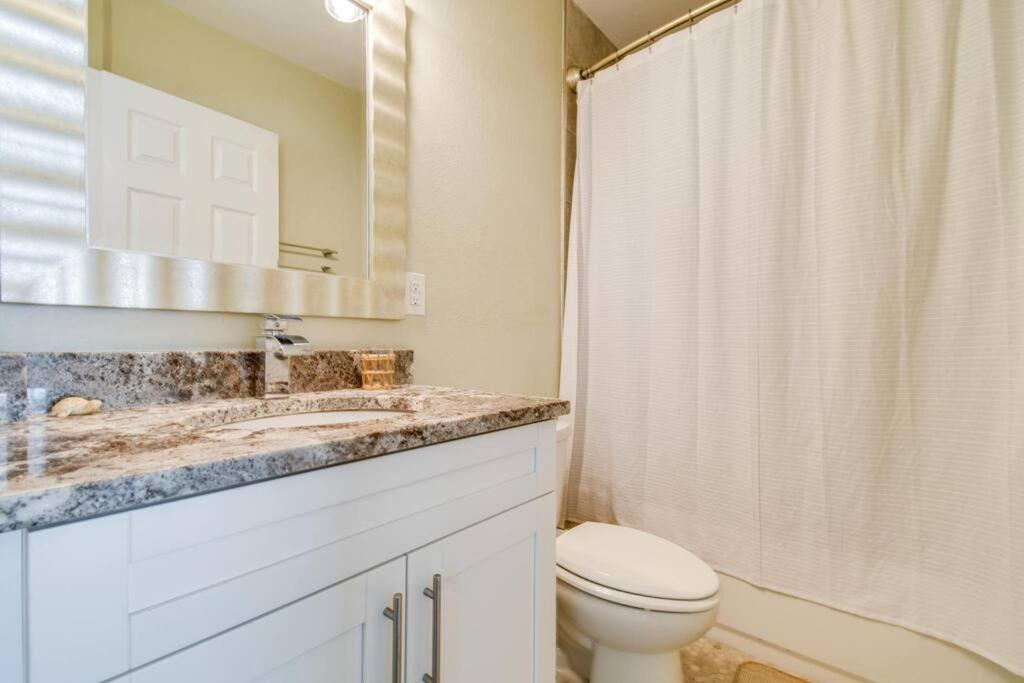 Luxury Home In The Heart Of South Tampa & Pool! Exteriör bild