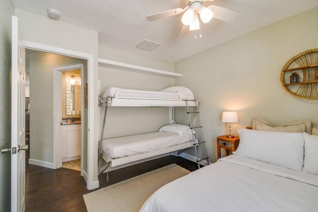 Luxury Home In The Heart Of South Tampa & Pool! Exteriör bild